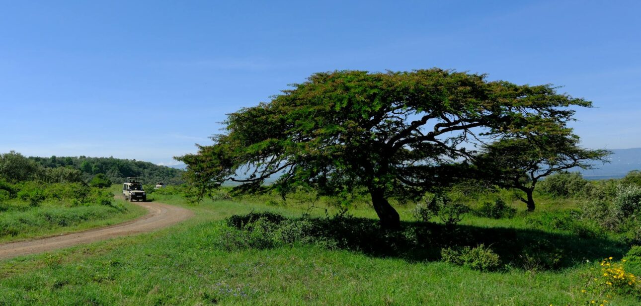 deluxetravelclub_luksusowe wakacje w Kenii-9_3.jpg