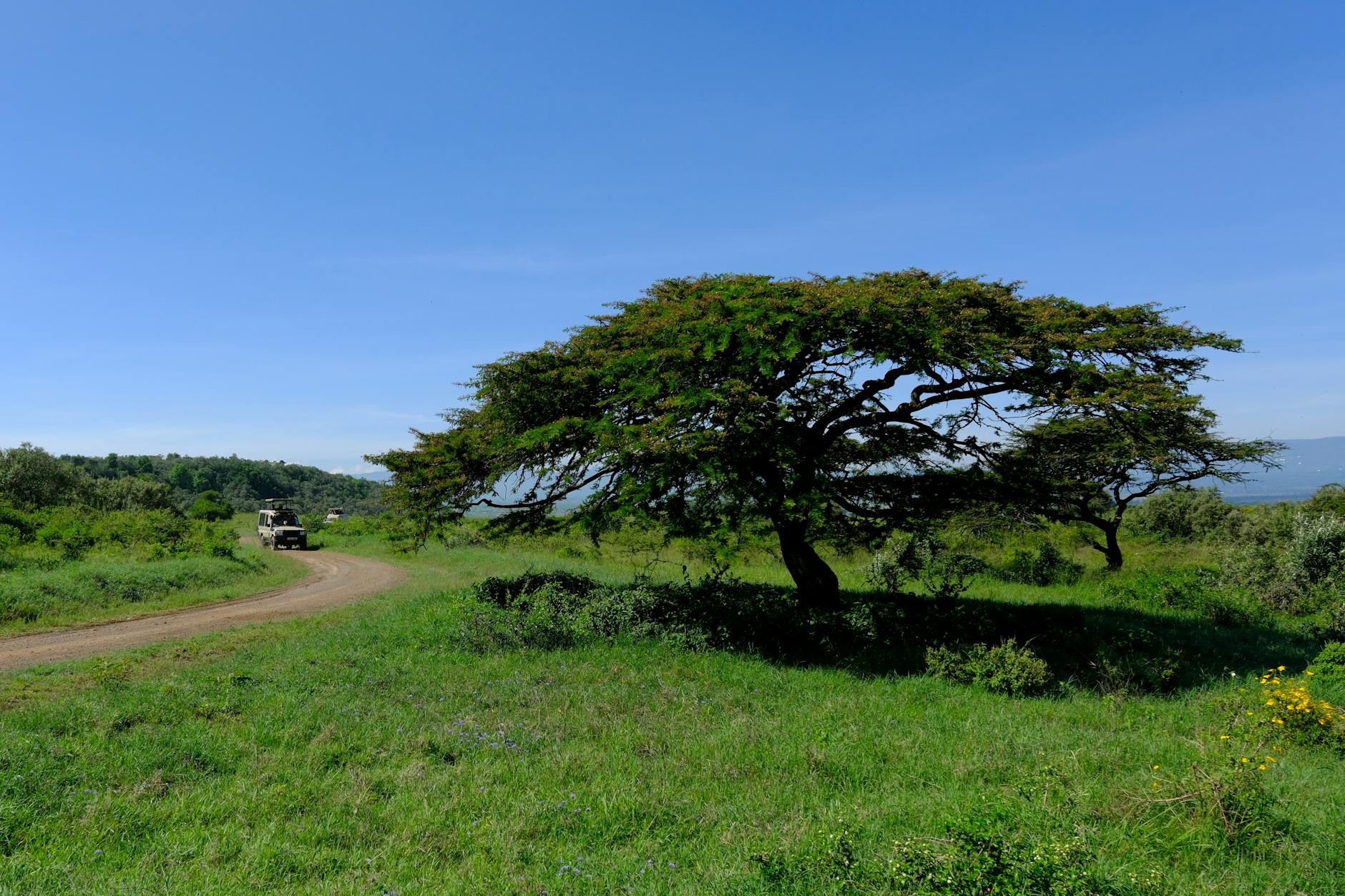 deluxetravelclub_luksusowe wakacje w Kenii-9_3.jpg